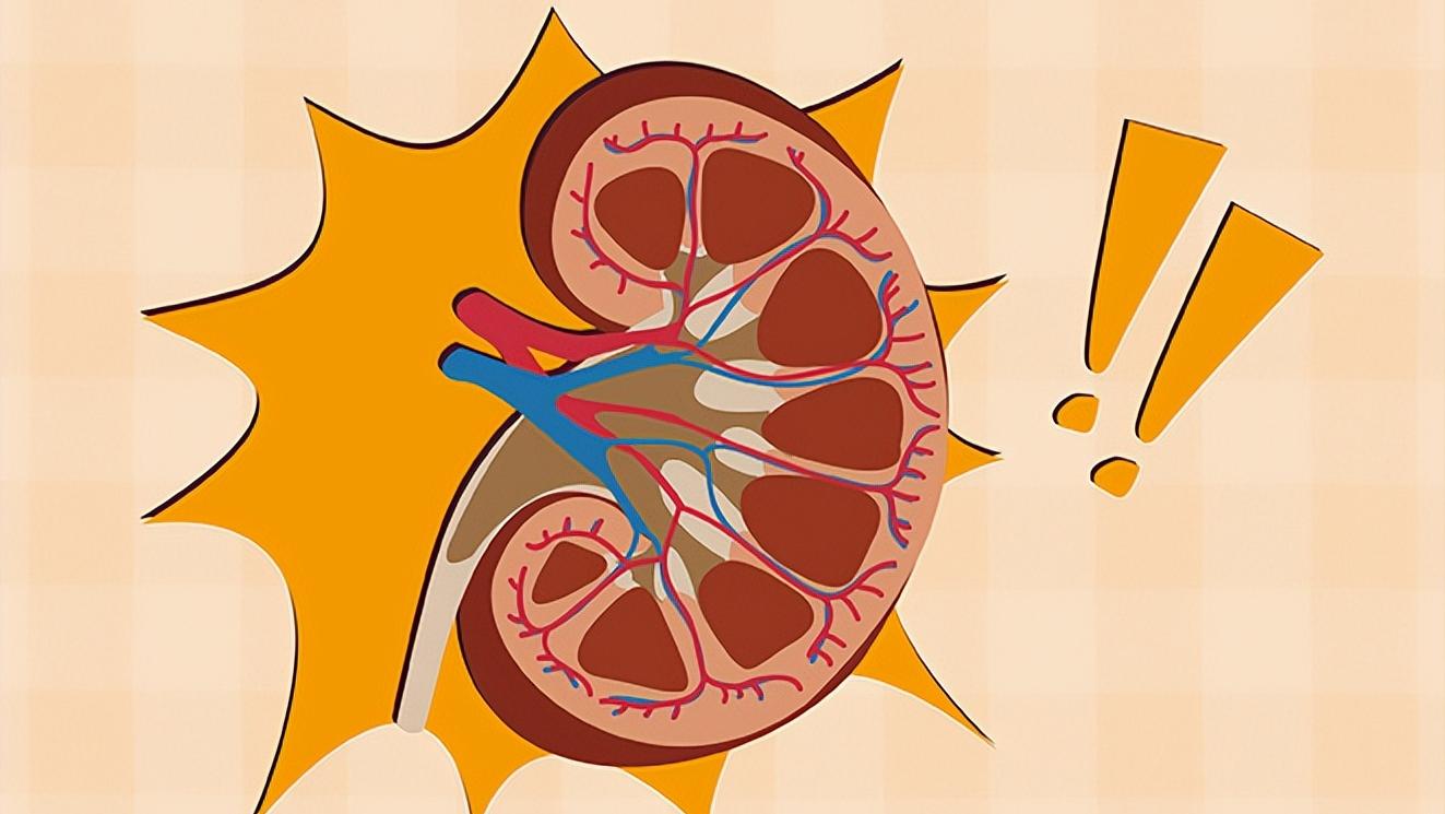 肾病引起高血压怎么治,肾病导致的高血压怎么办