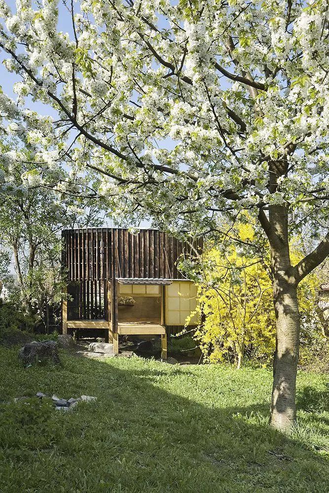 鏂囧湥鑼惰瘽,鏂囪儨鑼惰