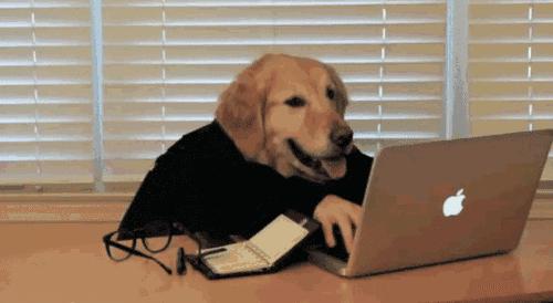 加班事件龙哥后续,中电科加班事件系捏造