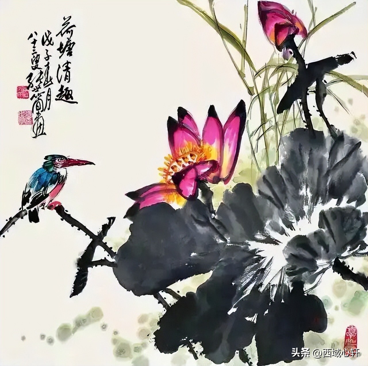 接天莲叶无穷碧映日荷花图片大全,莲叶无穷碧映日荷花别样红三幅图