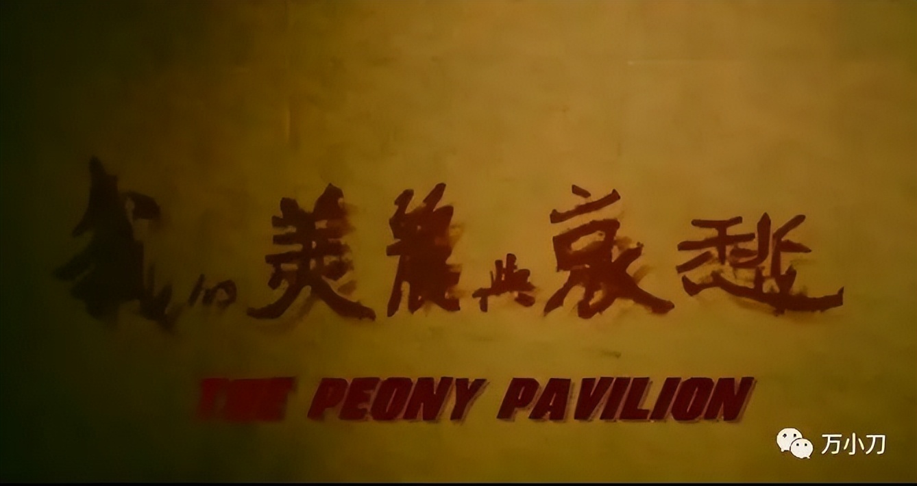 奶茶刘若英的爱情故事,奶茶刘若英的感情史