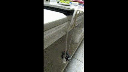 水之呼吸，物理之型，水流振动！|正经玩