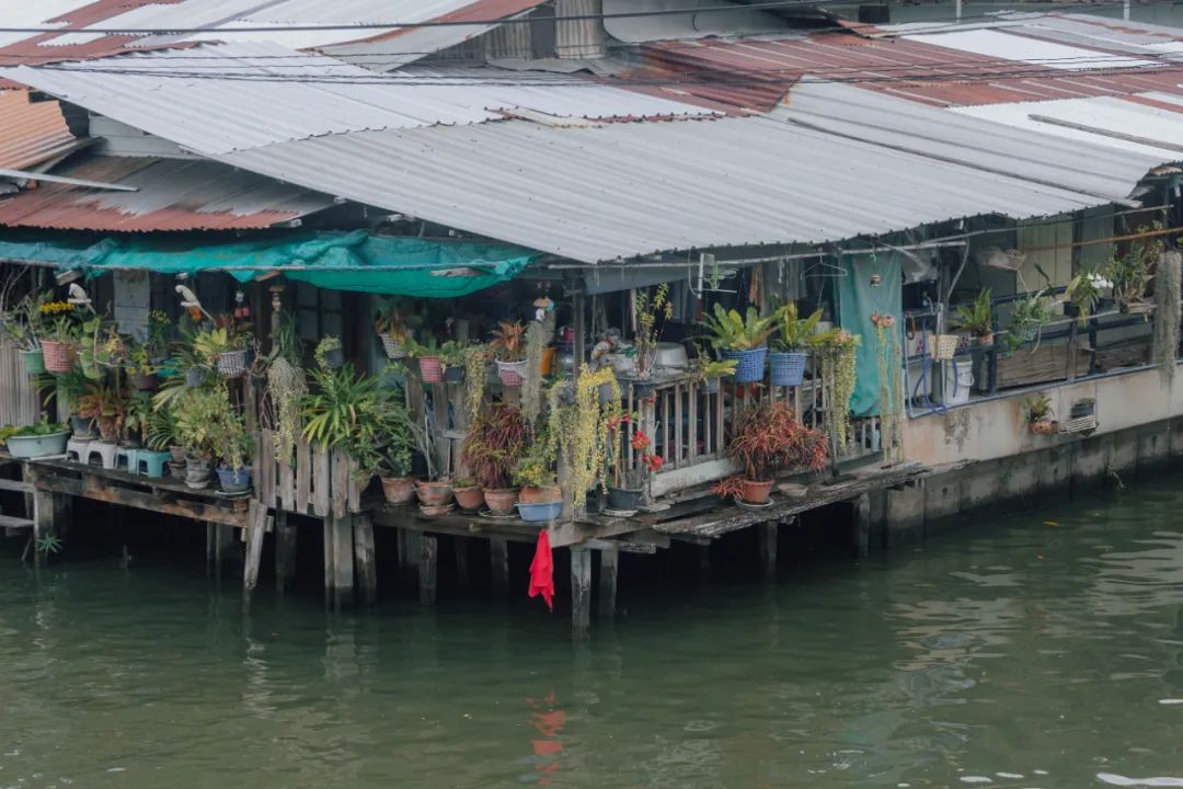 大数据推给想去泰国的朋友，万字长文玩转曼谷芭提雅
