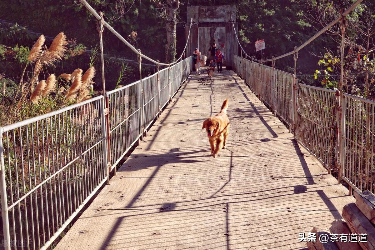 进入怒江雾村必走的茶马古道,怒江大峡谷茶马古道雾里村