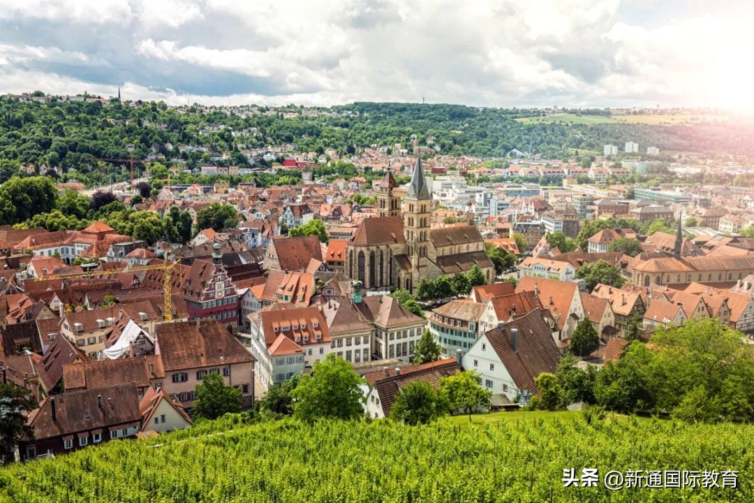 德国被逆转,世界杯外网热议日本2比1逆转德国