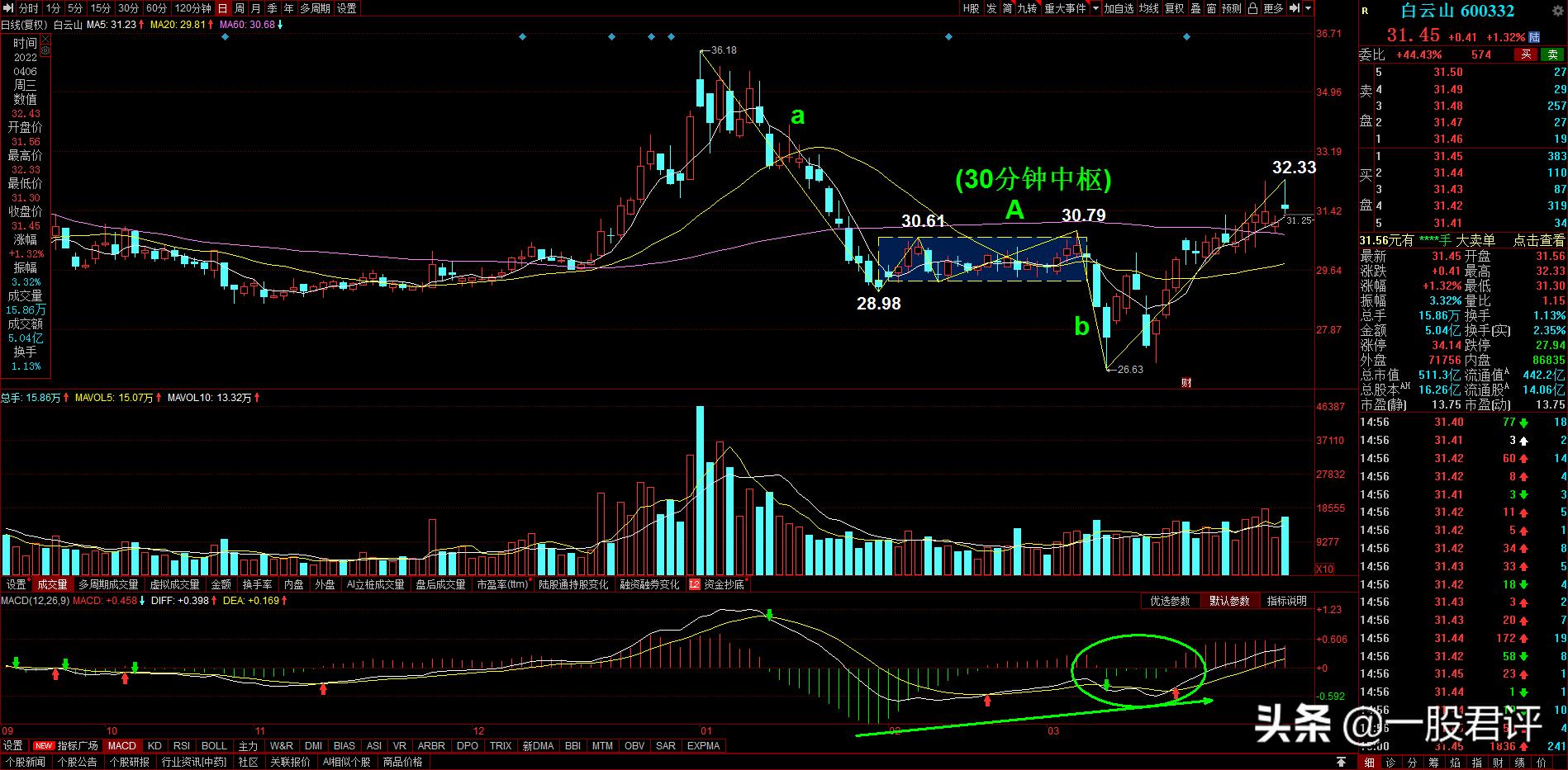 白云山600332,白云山600330股票分析