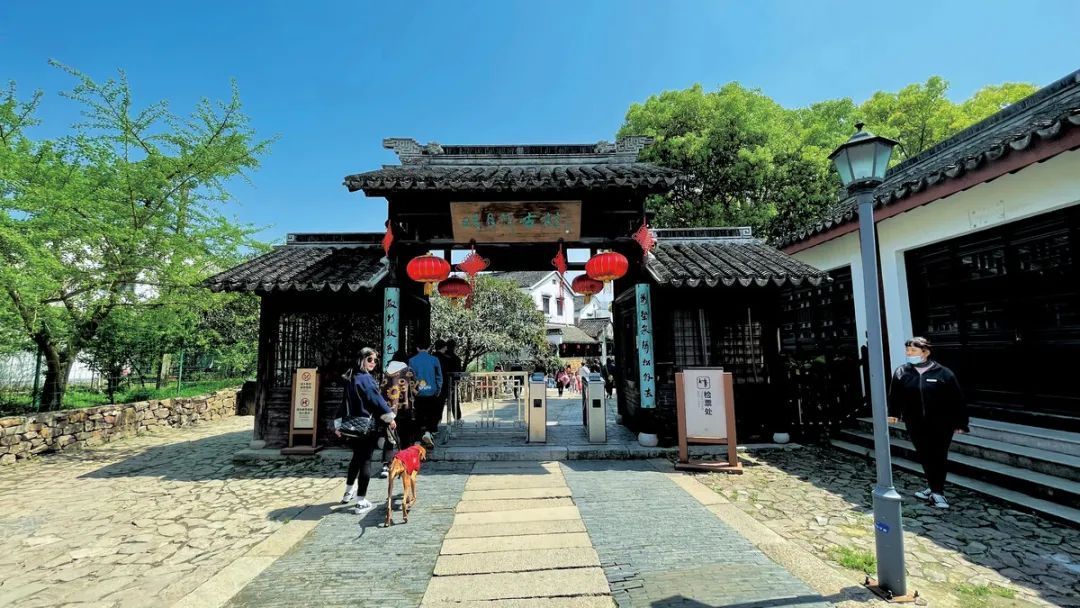 苏州旅游团5日游,苏州旅游团七日游