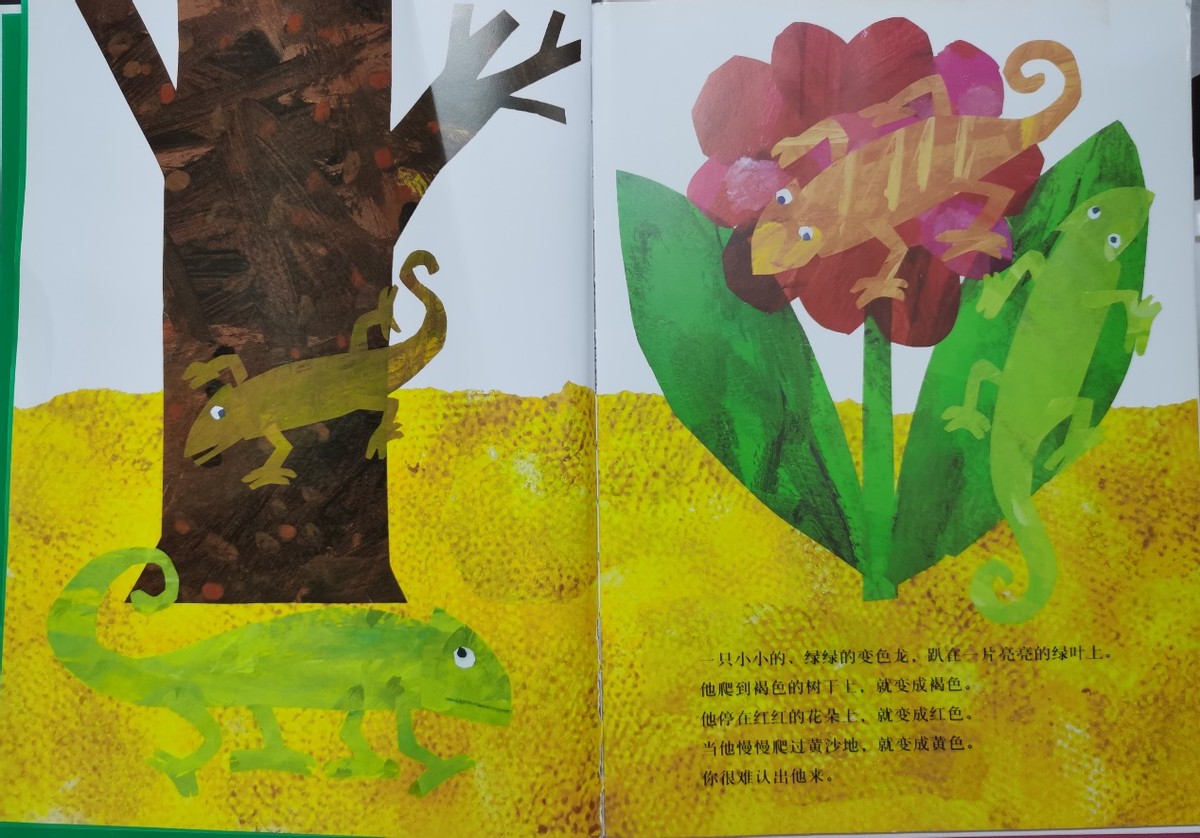 拼拼凑凑的变色龙绘本讲述,拼拼凑凑的变色龙绘本怎么导入