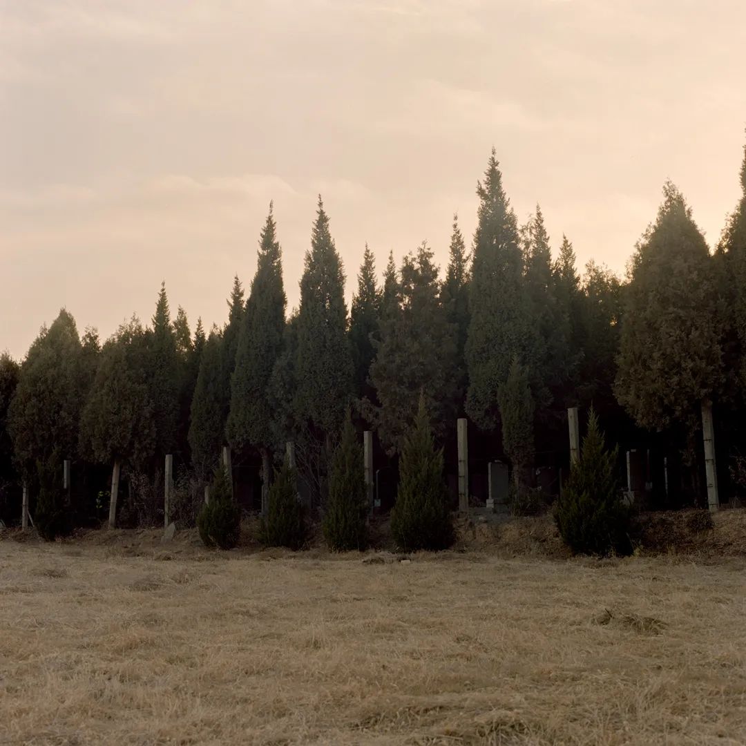 母亲改嫁16岁女儿离家出走4年,母亲抛下子女与男友私奔