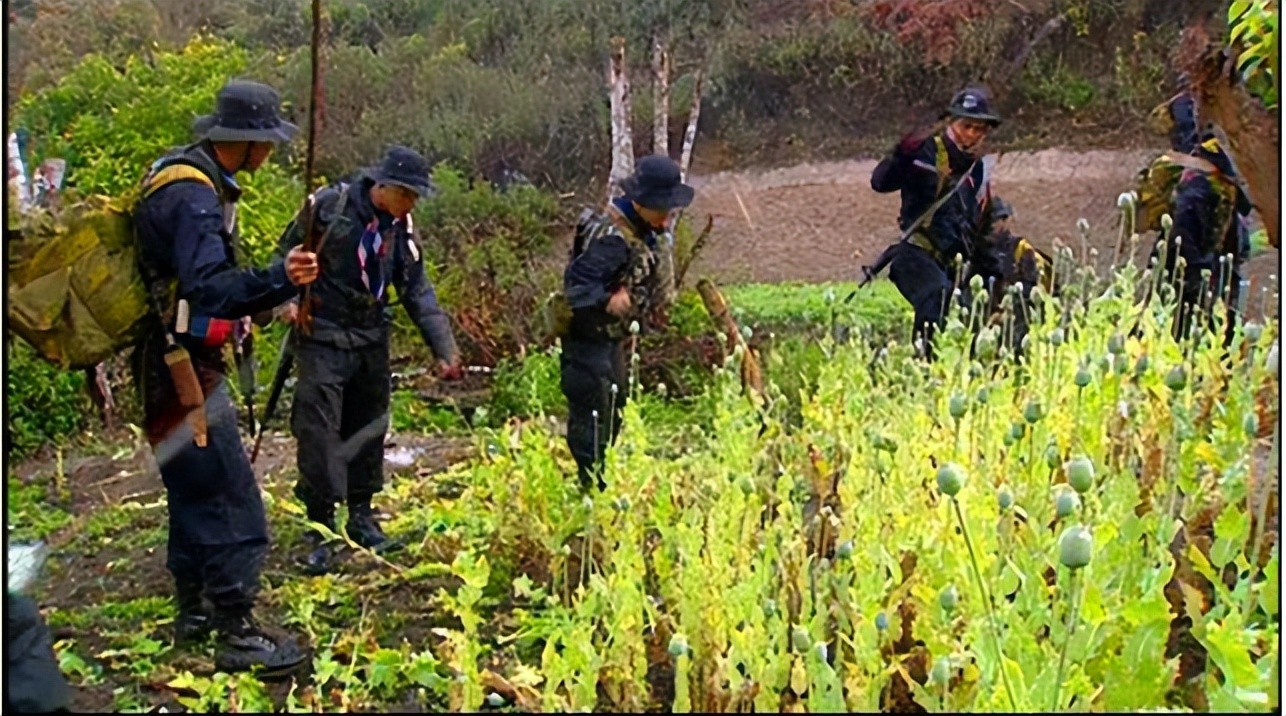 缅北为什么成为了电信诈骗窝点,电信诈骗在缅北是合法的吗