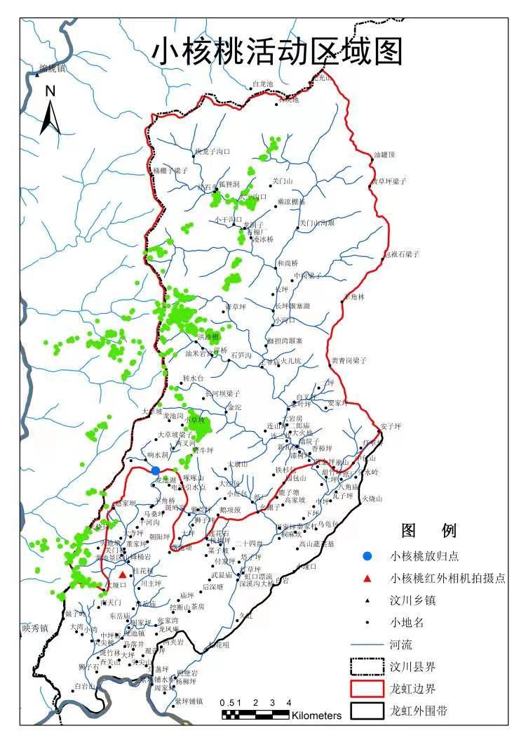 大熊猫小核桃首次现身,目前成功野化放归的大熊猫都是谁