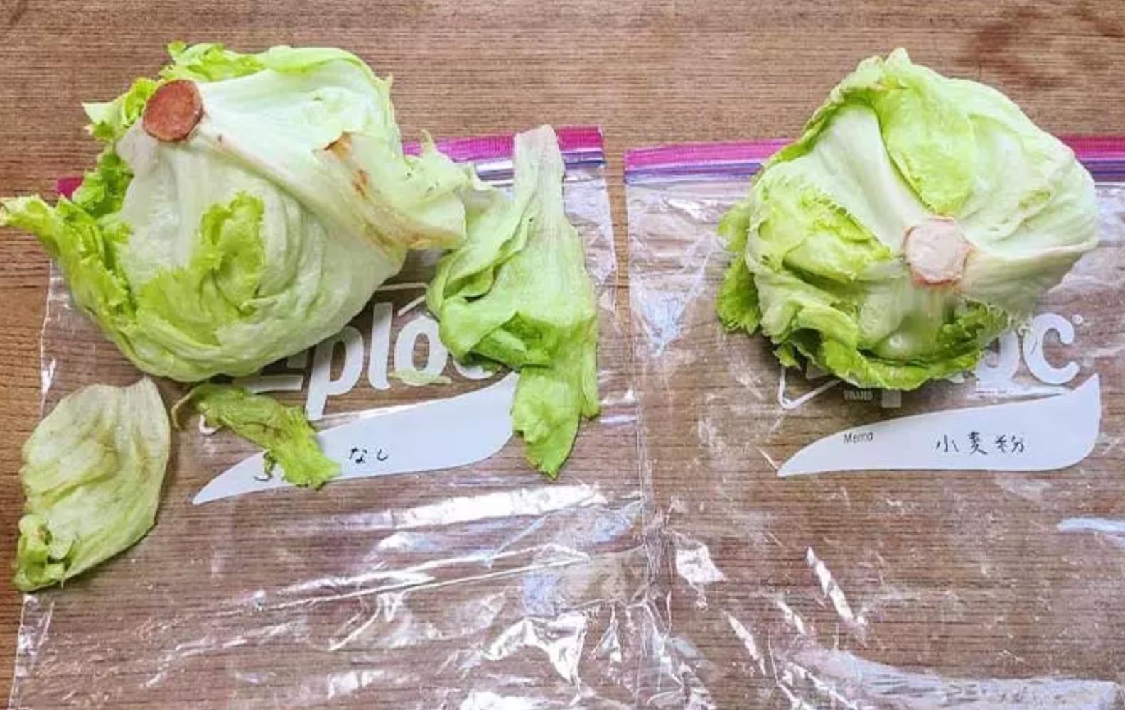 生菜怎么保存能保鲜时间长,生菜怎么保存放时间更长