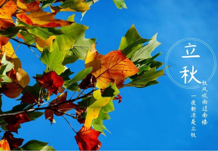 明日“立秋”,牢记“忌3事、吃2物、饮2水”,平稳入秋迎祥瑞