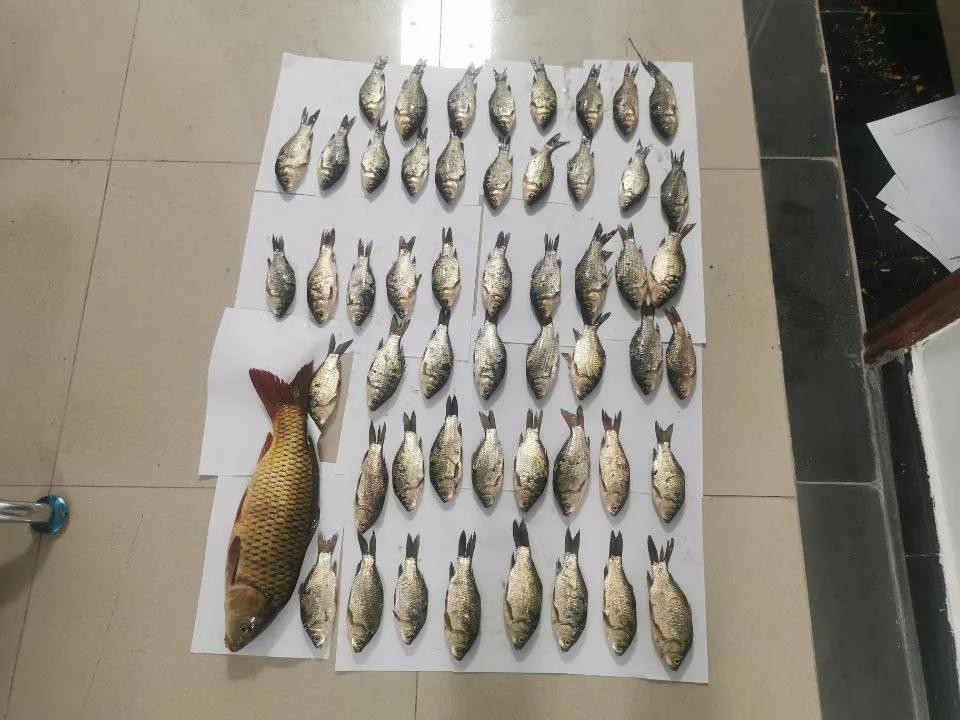多部门联合打击非法捕鱼执法行动,联合执法持续打击非法捕鱼行为
