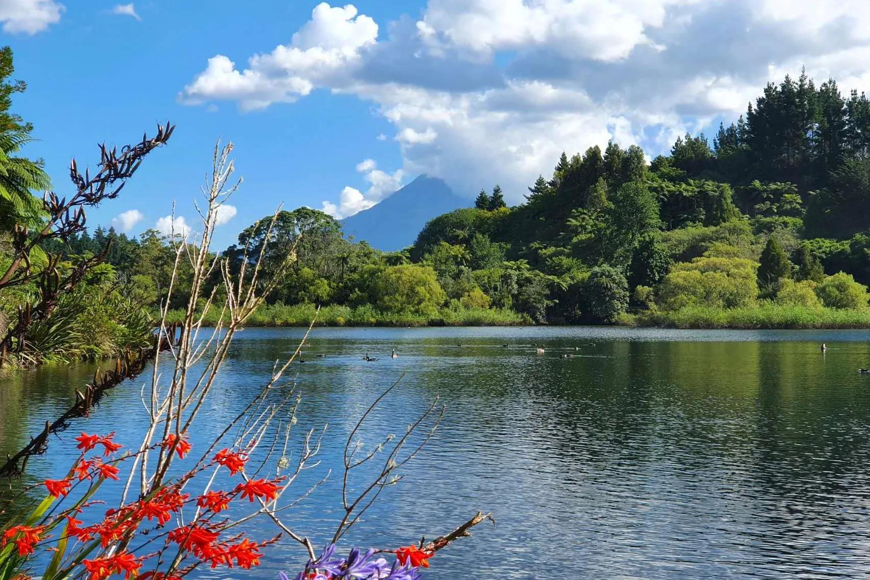 卯兔贺岁迎新纳福,卯兔新年作品