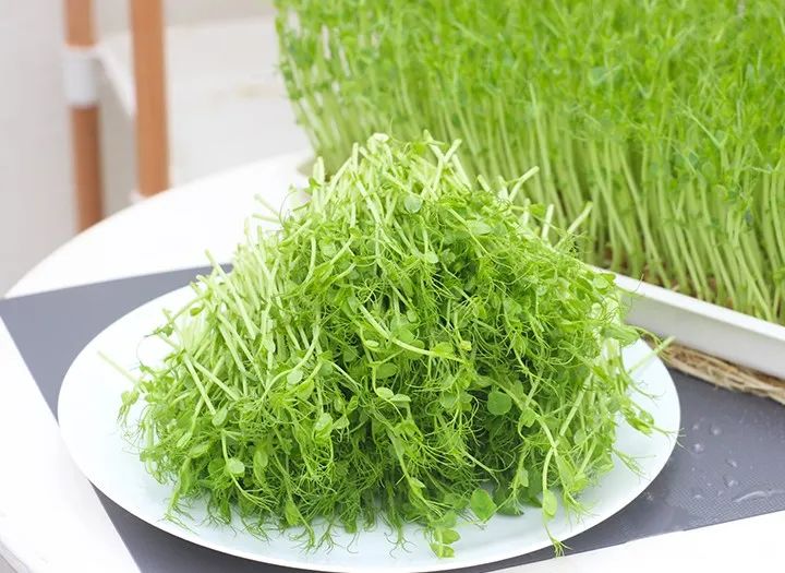 疫情囤货买多大冰柜,疫情期间冰柜热销吗