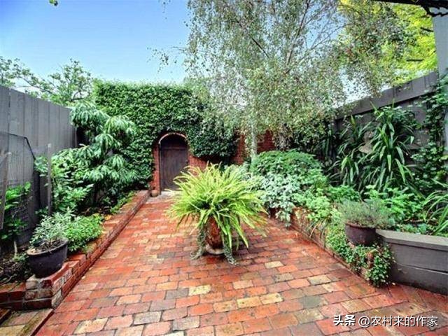 院中种树妻儿不相见后半句是什么,院中种树妻儿不相见什么意思