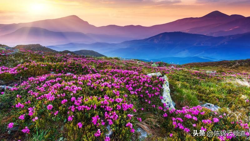 关于重阳节春节清明节的古诗,清明节积累关于传统节日的古诗词