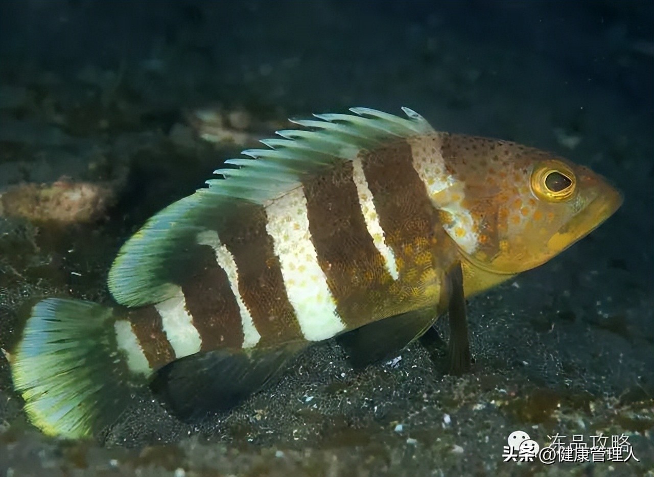 美容护肤食疗方案,美容护肤养生介绍