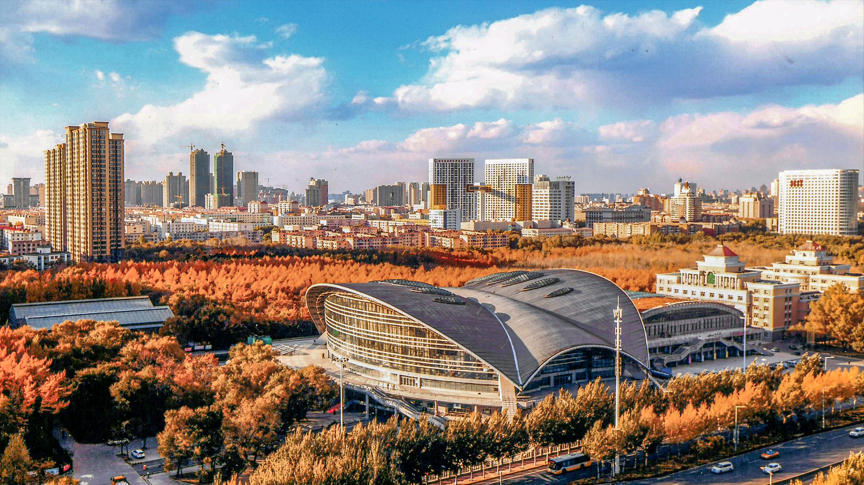 东北林业大学是双一流吗,东北林业大学是双一流学校么