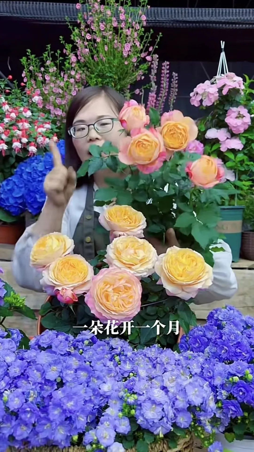 抖音电商平台花卉抽成多少,抖音鲜花电商运营怎么做