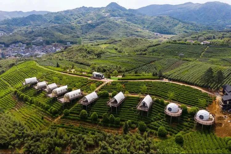 莼湖钓黄鳝,江边石缝钓黄鳝