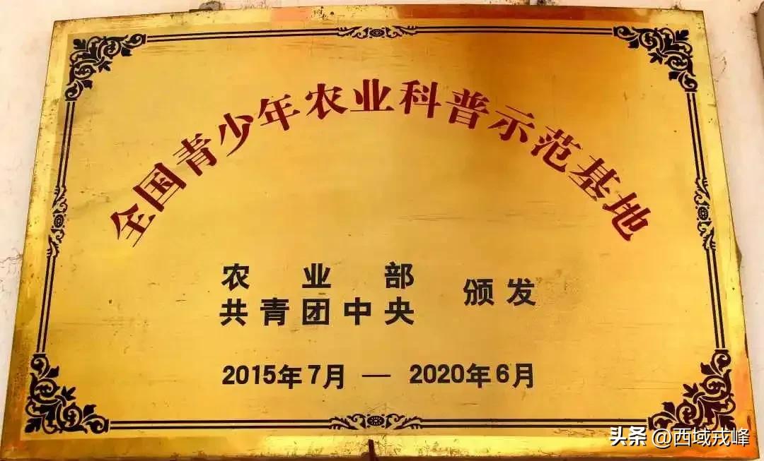 【西域·校园】总第043期‖山水一程青春之幸景泰一中开展研学掠影