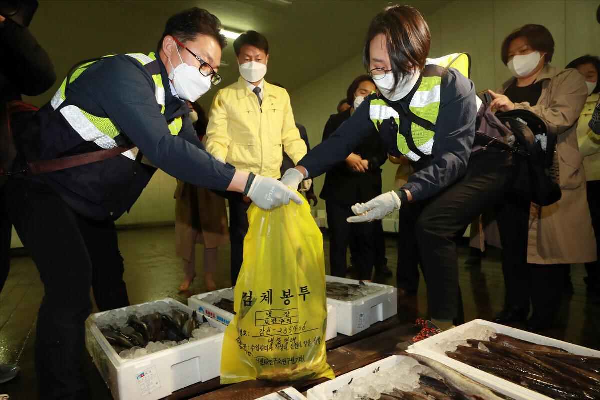 日本核辐射海里的动物怎么样了,日本福岛近海鱼辐射严重超标