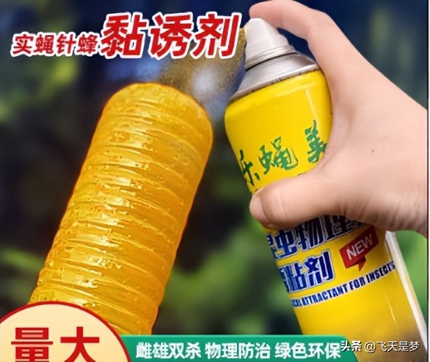 你的柑园布防果蝇未？