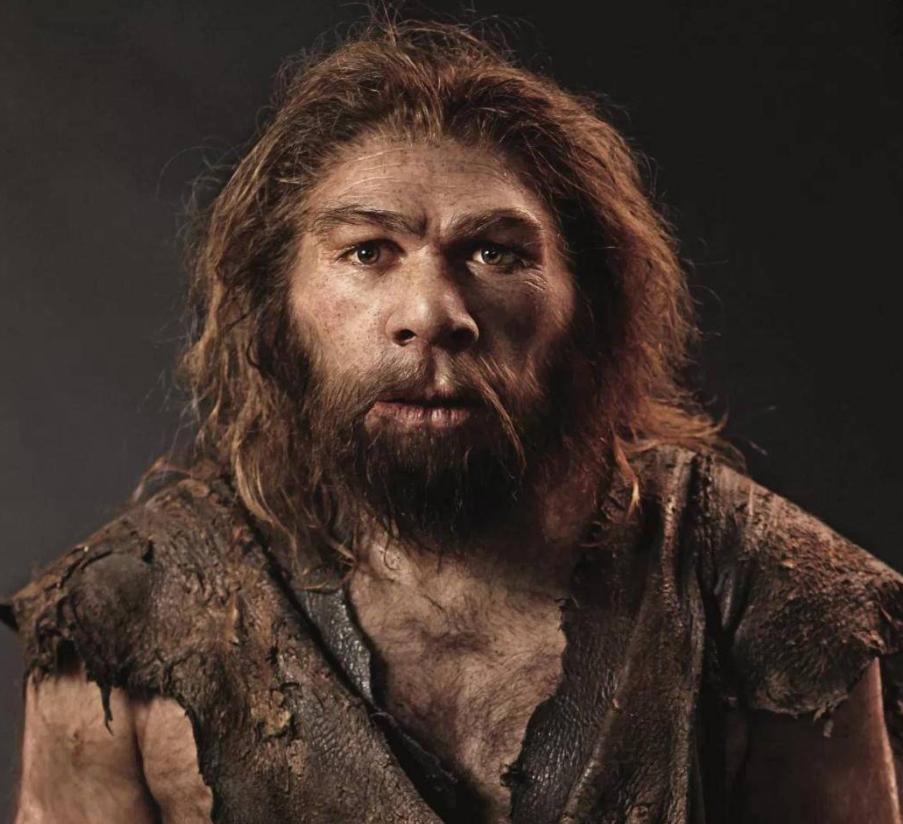 比人古老的生物,30年前虱子为什么频繁出现