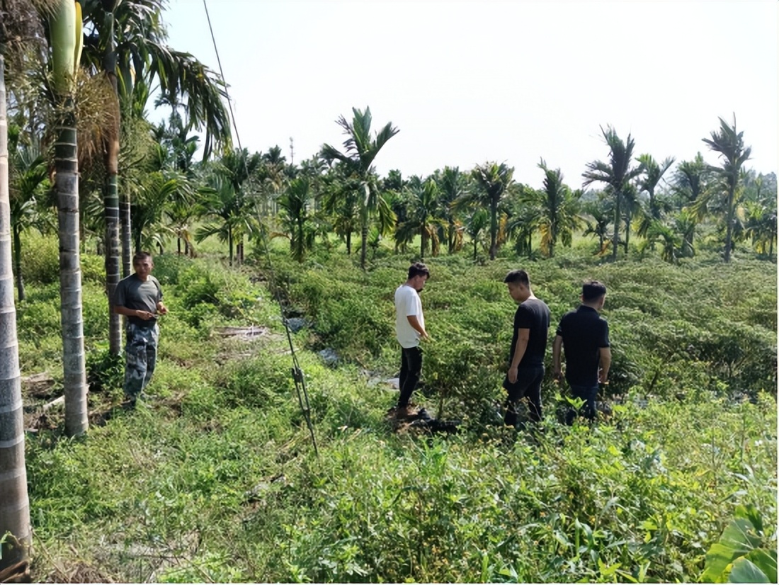 太平圩镇开展禁种铲毒工作,丰阳镇开展禁种铲毒踏查活动
