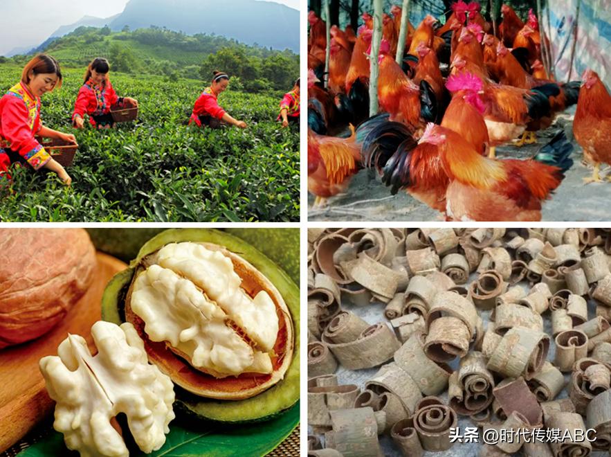 武都土特产有哪些,平武大山深处