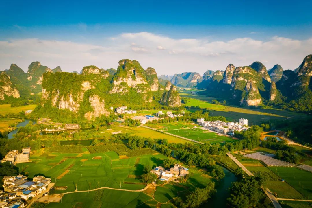 盘点那些过气网红的现状,2020年已经过气的网红