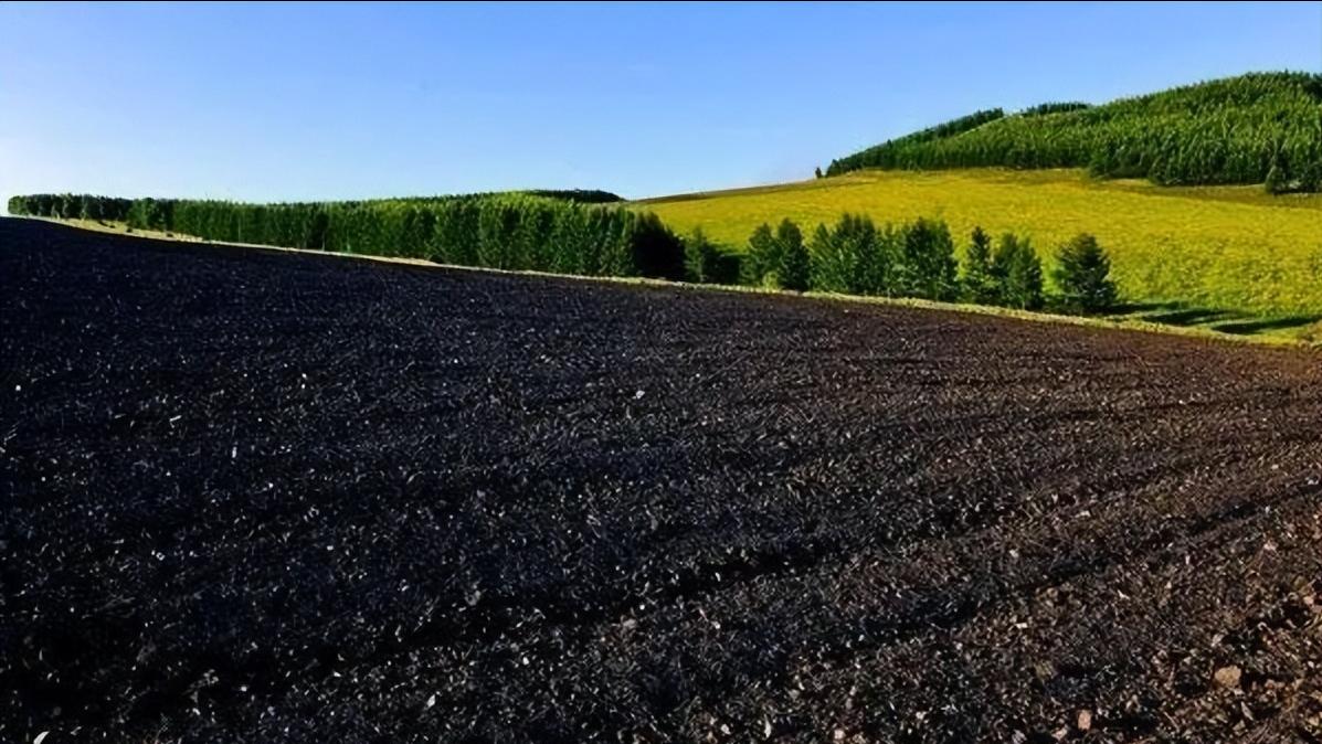 东北被沙俄占据的领土能收复吗,东北是如何从沙俄收复的