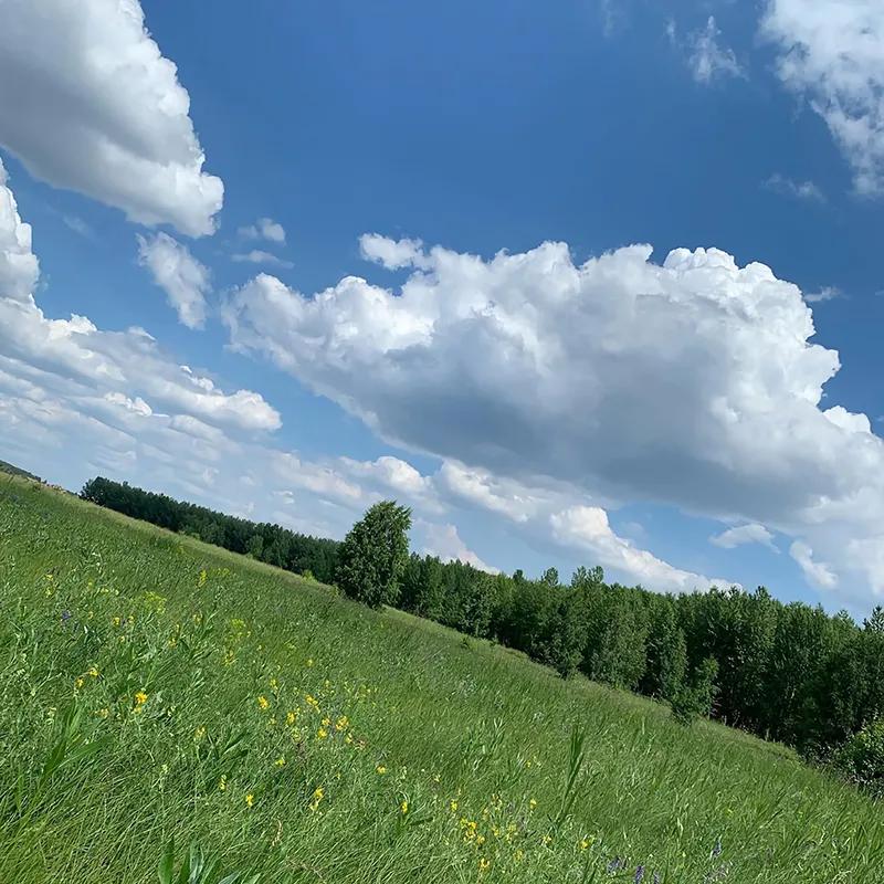 第二章财富的本质,第二章收入费用利润