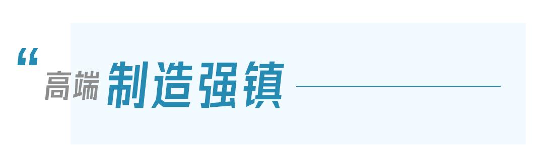 鄂州市泽林镇最新消息,鄂城区泽林镇泽林街