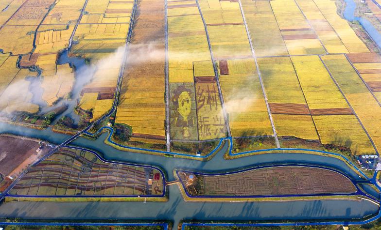 温州海边适合露营的地方推荐,温州夏日溯溪露营地推荐