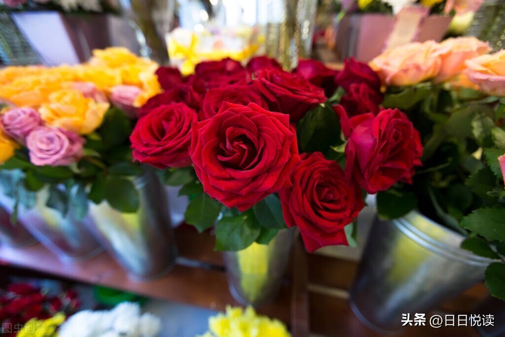 开花店赚钱了如何抽身,开花店卖盆栽花卉赚钱吗