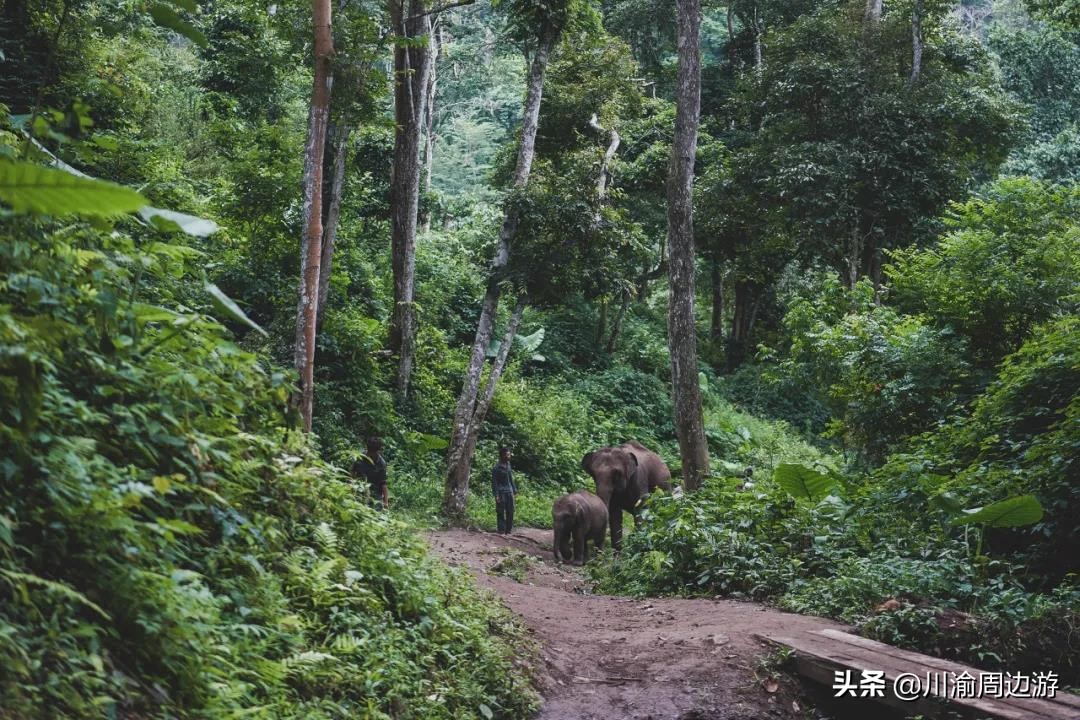 云南最适合旅游的城市排名前十,云南旅游值得去的城市排名