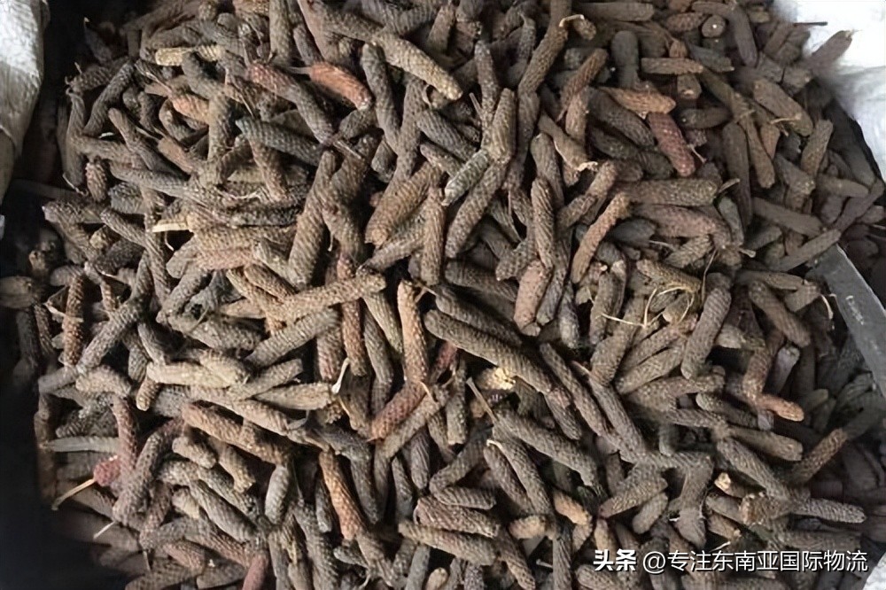 越南荜茇海运到中国需要多长时间？