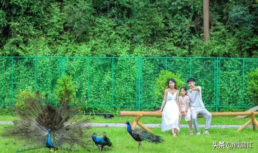 迎新春兔年促消费,迎新春促消费浓浓年味享不停