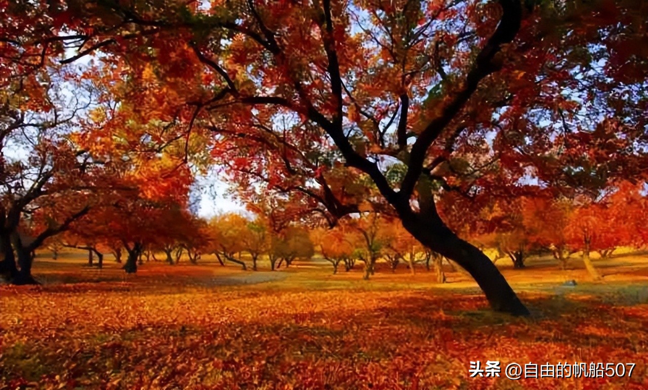 辽宁省沈阳市法库县鲜花店,辽宁省沈阳市法库县旅行社