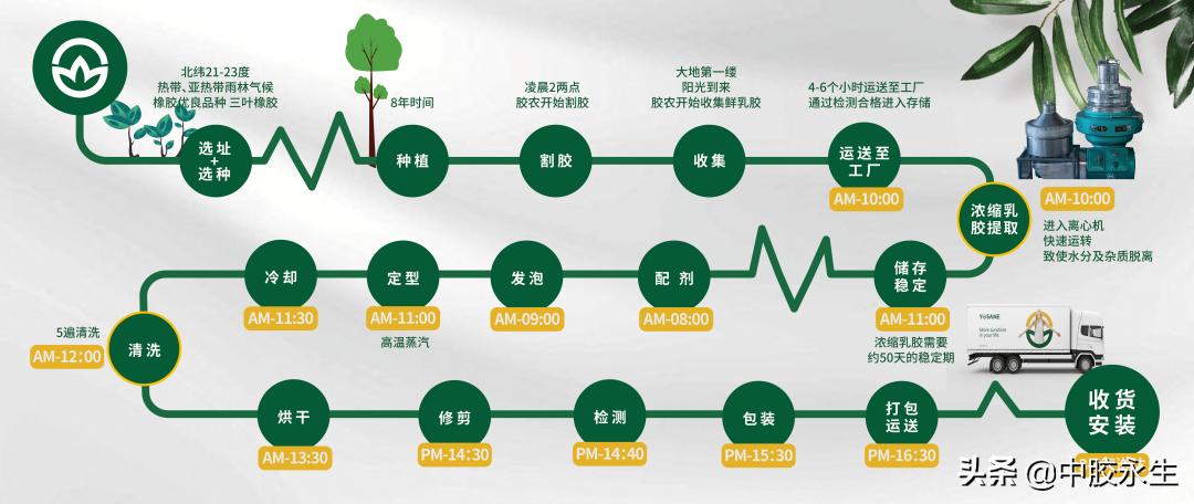 天然乳胶枕选什么样的好,天然乳胶枕质量怎样