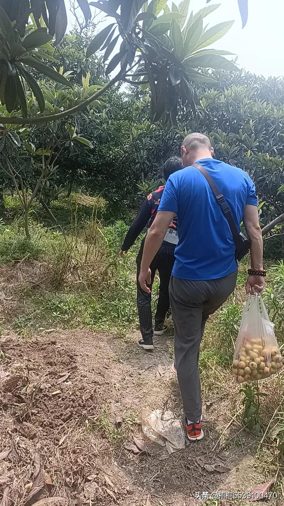 苏州洞庭西山有什么好玩的,苏州太湖东山还是西山好玩