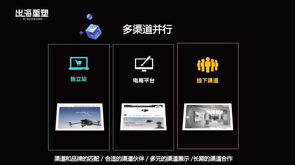 坚果资本安全吗,坚果资本有多少钱