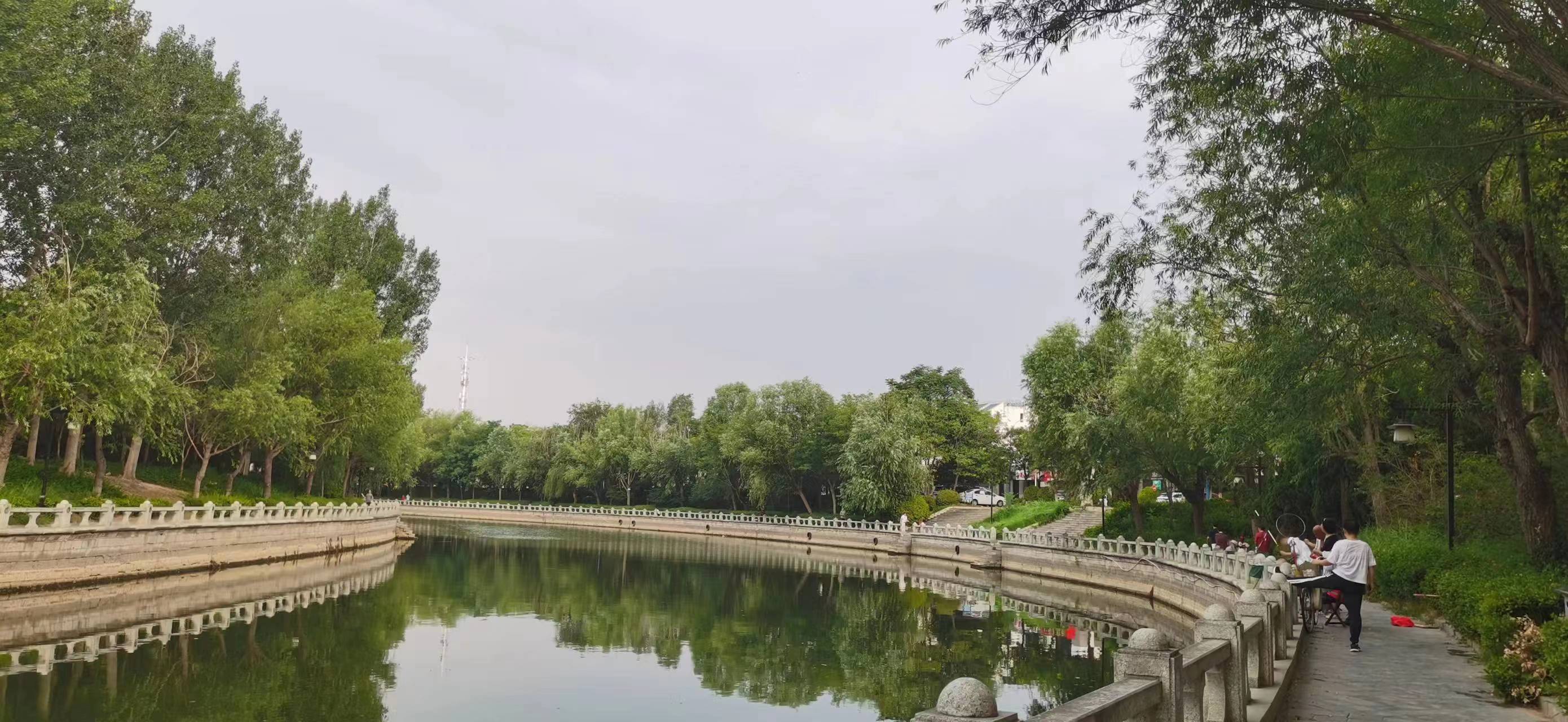 2023079期双色球:红球号码基本上没有冷号,那就关注这两类号码