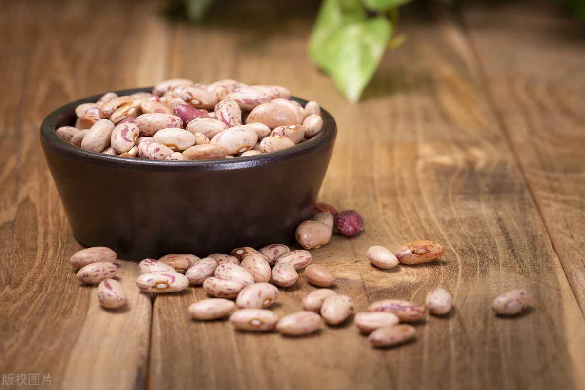 芸豆怎么种能结角多,家里种芸豆