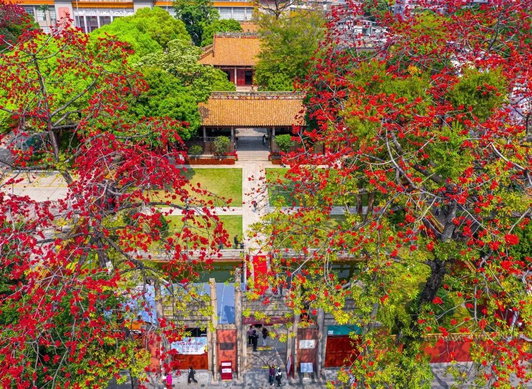 特种兵旅游第一人,八泉峡特种兵旅游攻略