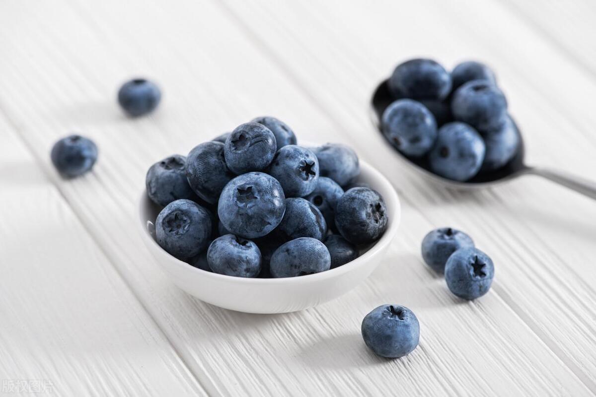 蓝莓营养价值竟然这么高,大自然蓝莓