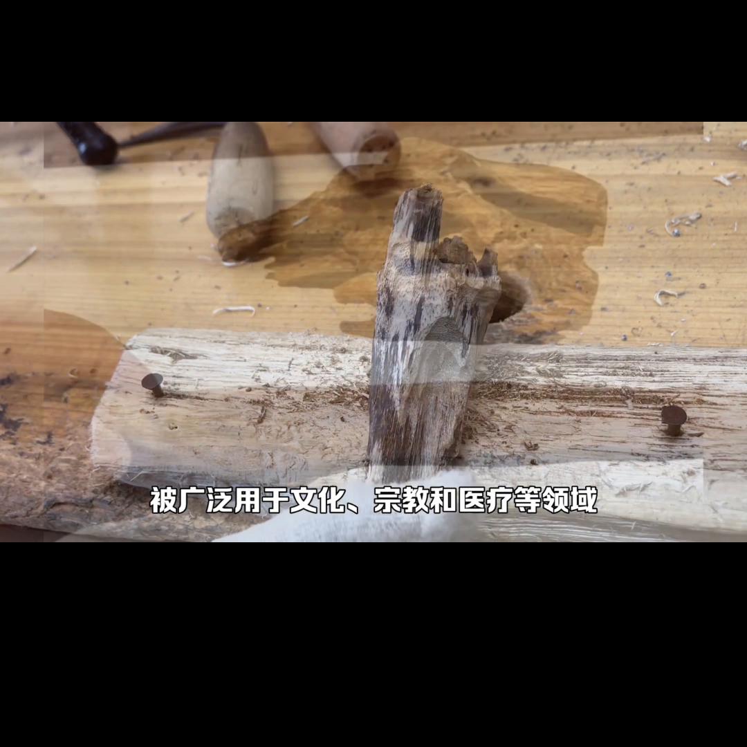 奇楠沉香种植三年能出多少克沉香,奇楠沉香和红土沉香哪一种比较好